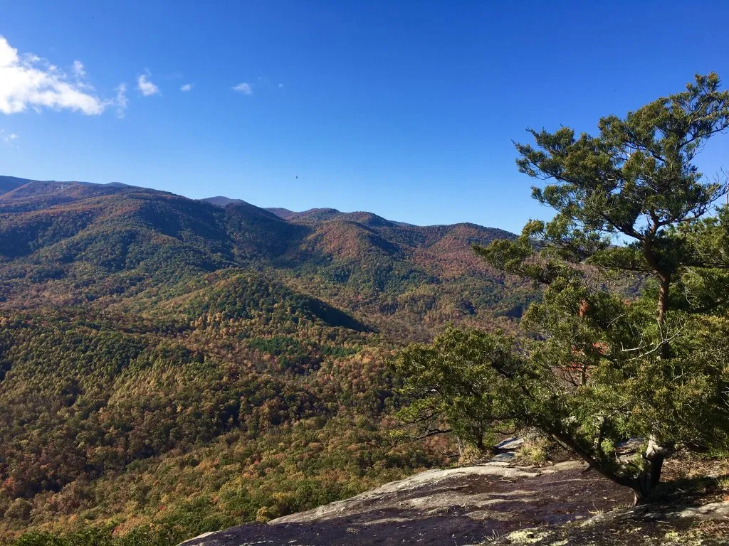 Fall foliage from Looking Glass Rock