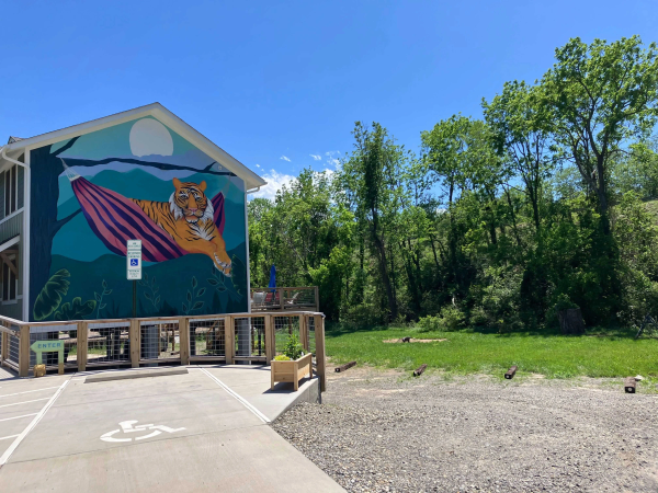 The gravel parking area beside The Lazy Tiger Hostel mural