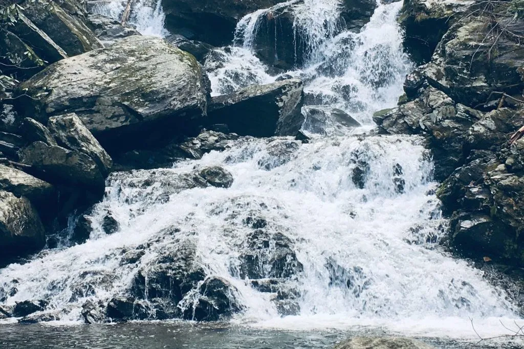 Waterfall in Asheville